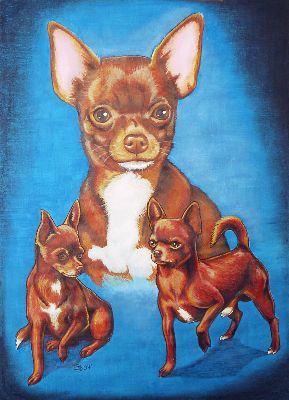Eine Chihuahua-Familie