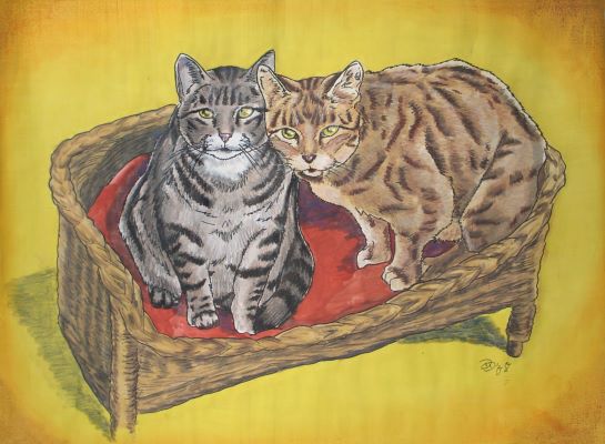 zwei Katzen