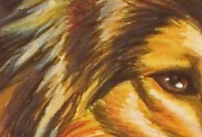 Hier draufklicken und sie bekommen ein paar Deatils