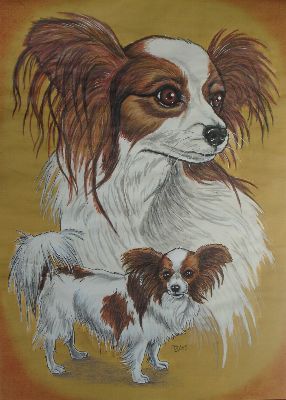 Papillion