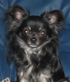 Original Photo Winslow